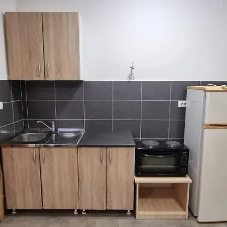 Vojvode Stepe M Apartment *